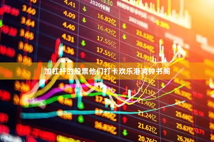 加杠杆的股票他们打卡欢乐港湾钟书阁