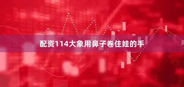 配资114大象用鼻子卷住娃的手