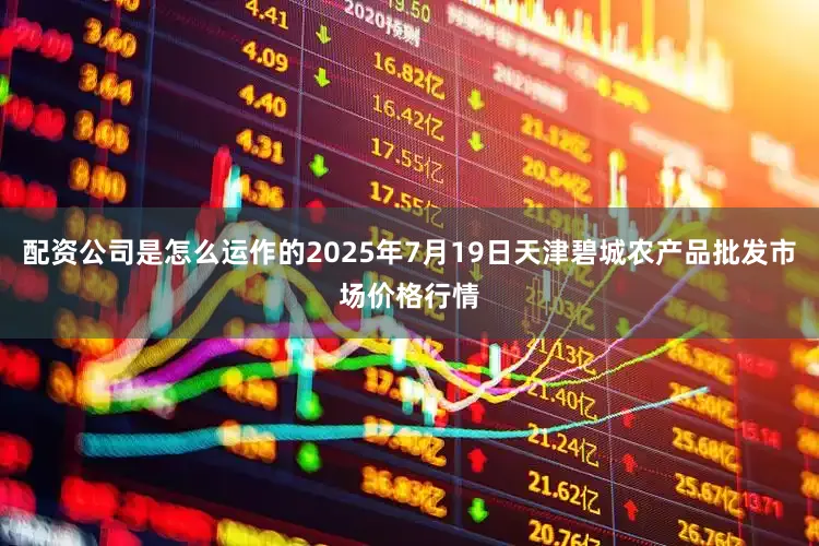 配资公司是怎么运作的2025年7月19日天津碧城农产品批发市场价格行情