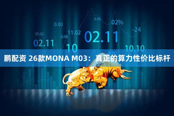 鹏配资 26款MONA M03：真正的算力性价比标杆